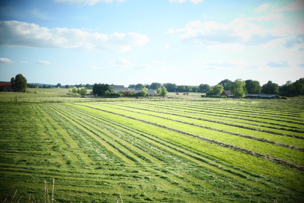Van sturen op stikstofneerslag naar sturen op stikstofuitstoot