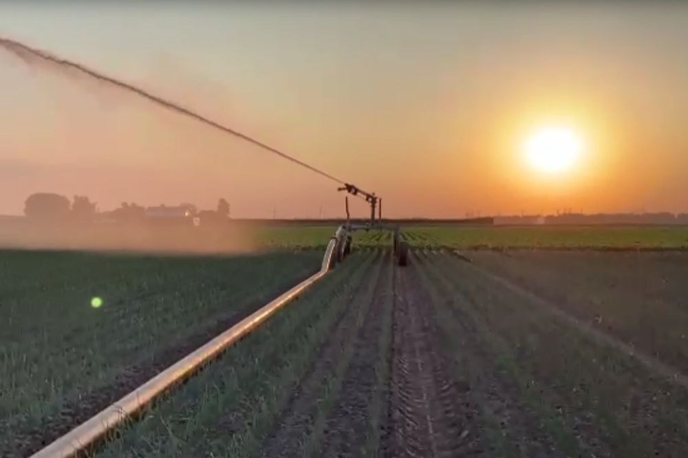 Waterverbruik in de landbouw in 2023 lager door nat groeiseizoen