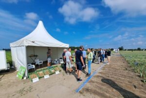 Uiendag: "Niet wachten op nieuwe middelen, maar Voor-UI-t"