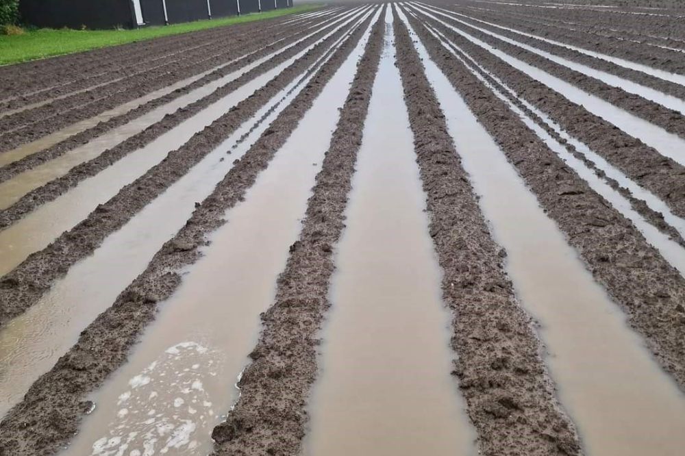 Wateroverlast teistert akkers tussen Creil, Emmeloord en Lemmer