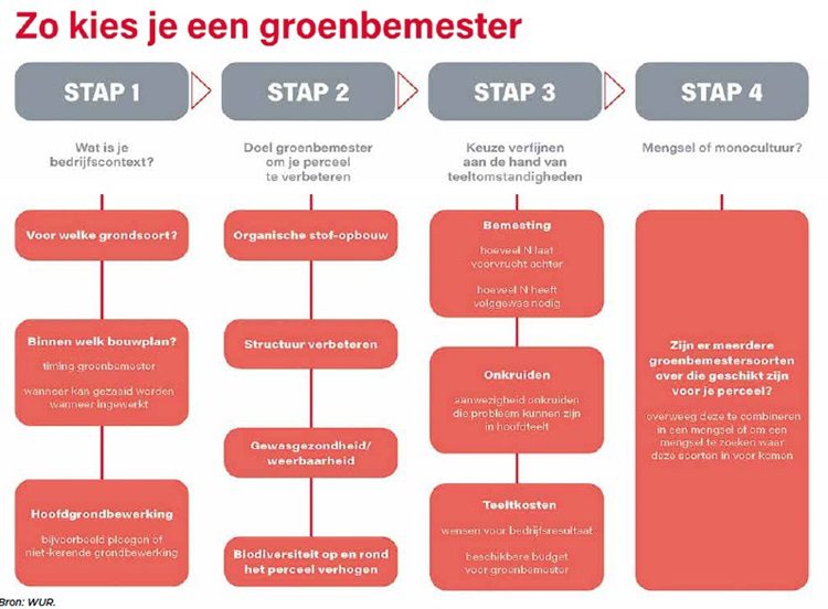 Zo kies je de juiste groenbemester.750