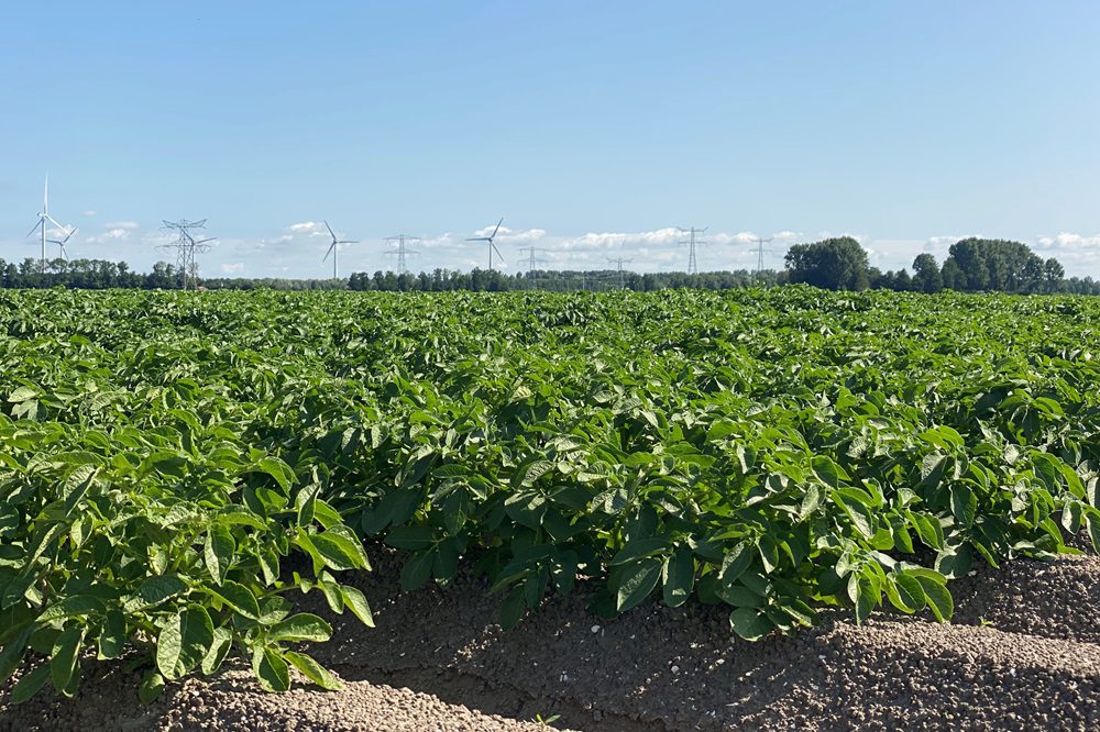 Prijs bouwland met 2,1 procent gedaald