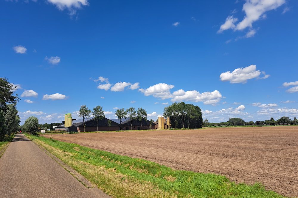 Binnenlandse ontwikkelingen vragen alle aandacht van boeren