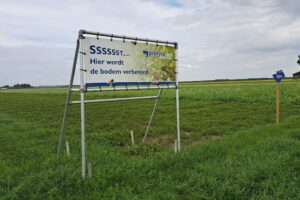 Een levende etalage van groenbemesters in de Noordoostpolder
