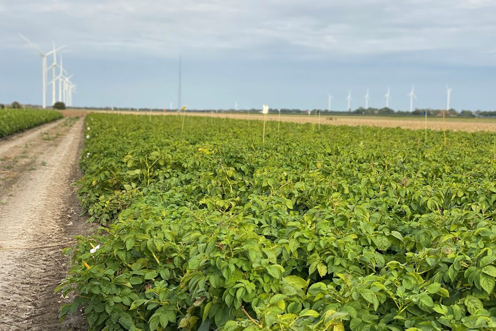 Vertify: besmetting voorkomen gaat verder dan preventieve middelen