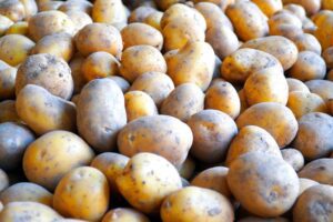 Hoe voorkom je verliezen in de bewaring?