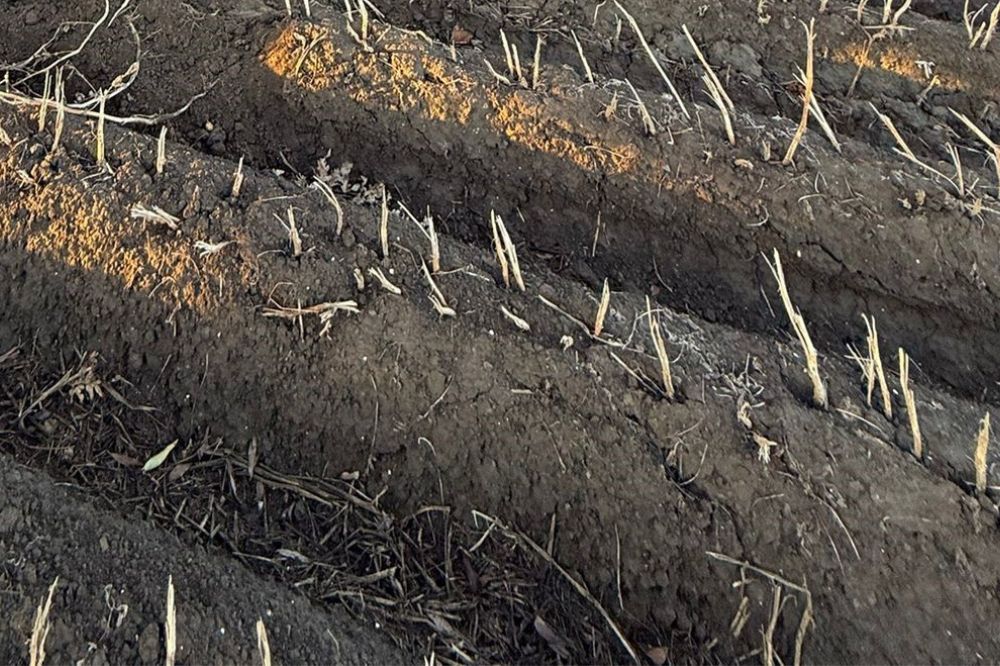 Akkerbouwer Wesdorp: "Meting maakt zichtbaar wat ik aan potentieel laat liggen"