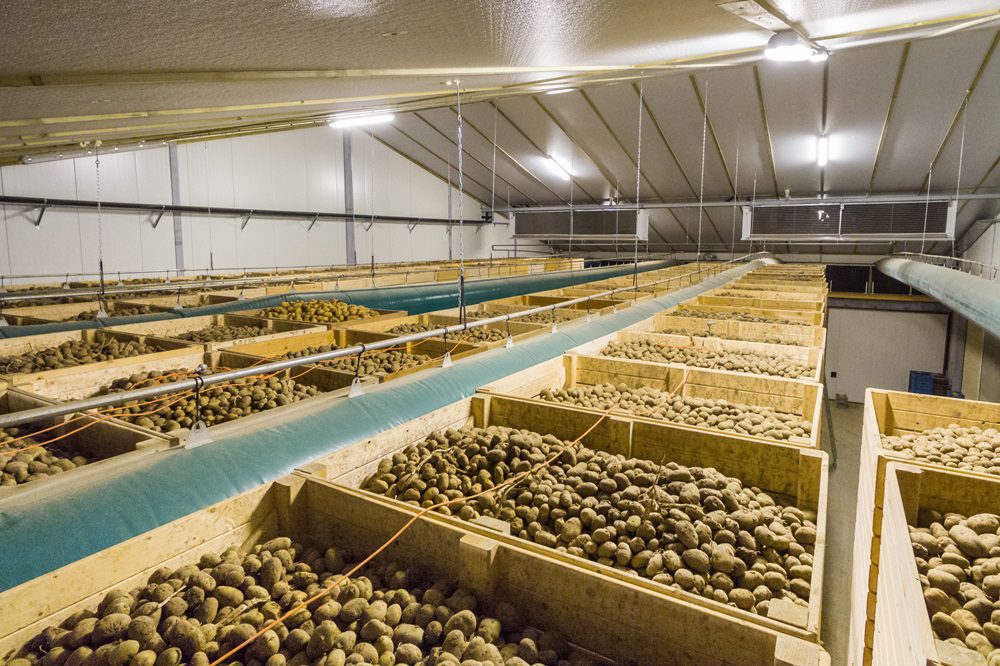 Kiest u voor bulk-of kistenbewaring?