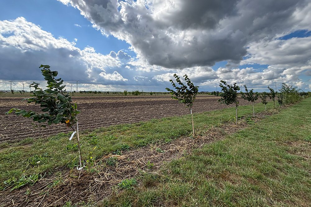 Landelijke Demodagen: zo werkt natuurinclusieve landbouw in de praktijk 