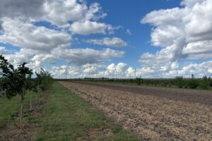 Landelijke Demodagen: zo gaat natuurinclusieve landbouw in de praktijk