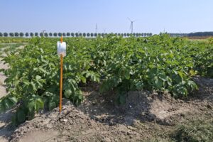 "Het juiste moment van toepassing is heel belangrijk"