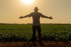 BoerenPerspectief Gelderland open voor agrarisch ondernemers