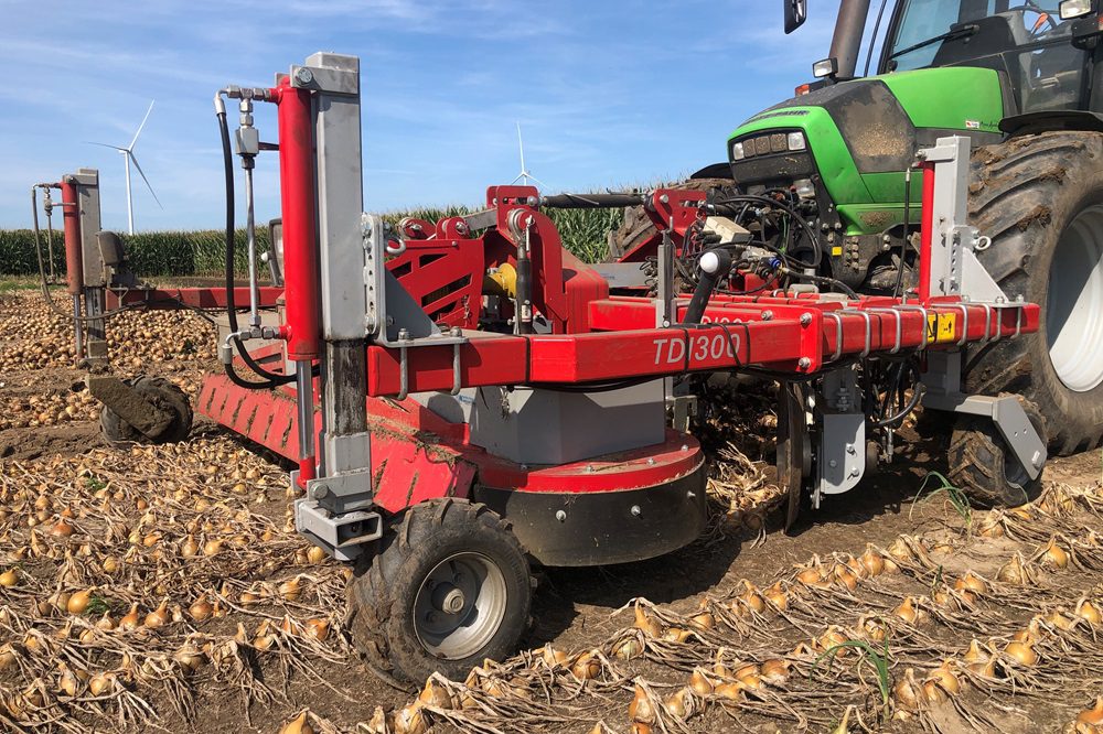 Uien telen op drie meter