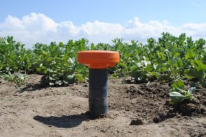 Futuristische technologieën in de aardappelteelt