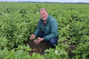 Biostimulanten zetten aardappelen in hun kracht