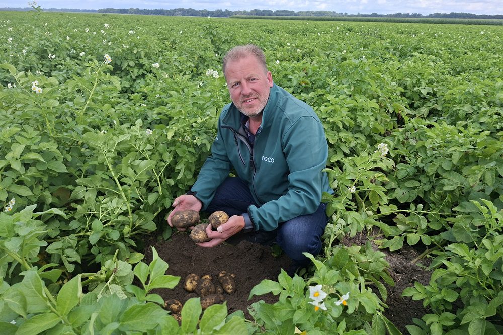 Biostimulanten zetten aardappelen in hun kracht