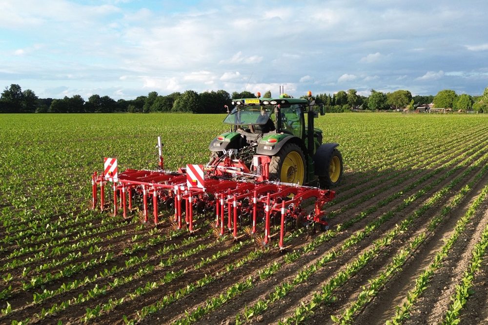 "Tegen ziekten spuiten is meestal niet nodig"