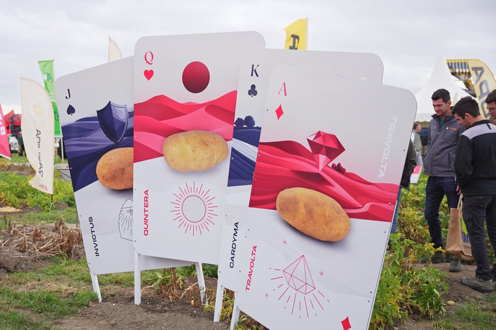 Travolta: nieuwe ster in de aardappelwereld