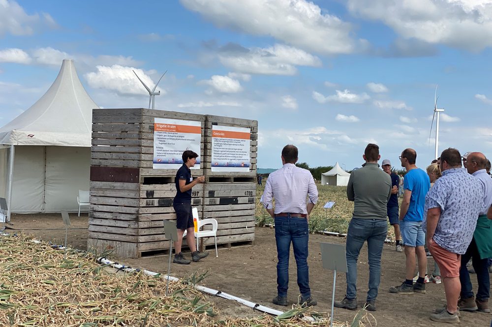 Uiendag 2025: sterke fundering voor weerbare teelt