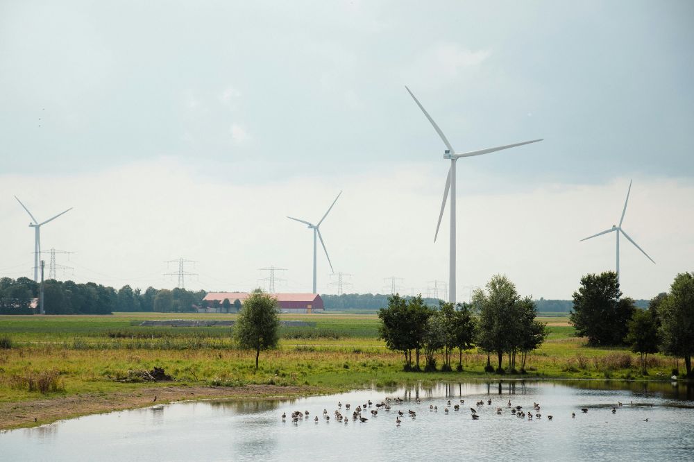 Boeren in Flevoland geteisterd door roversbende