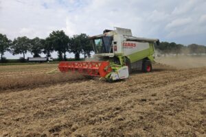 "Meer waarde dan tarwe, tegenover lagere kosten"