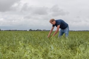 "Na 50 jaar weer erwtensoep van eigen bodem"