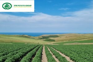 HCPZ Group kondigt overname IPM Potato Group aan