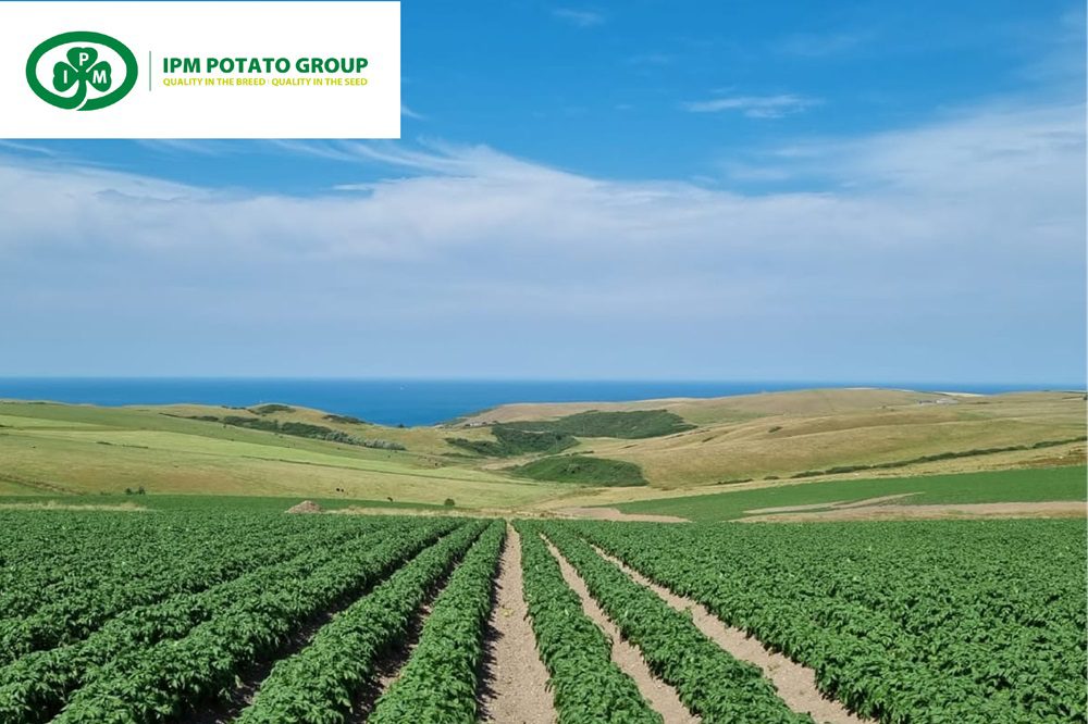 HCPZ Group kondigt overname IPM Potato Group aan