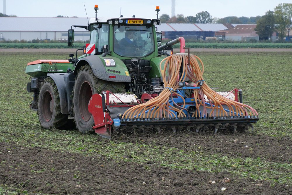 Marktinformatie grondstoffen: wintergranen worden volop gezaaid