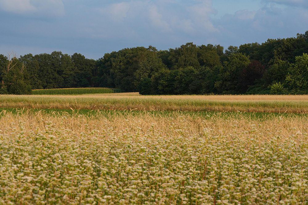 Cirkelakker als alternatieve landschapsinrichting