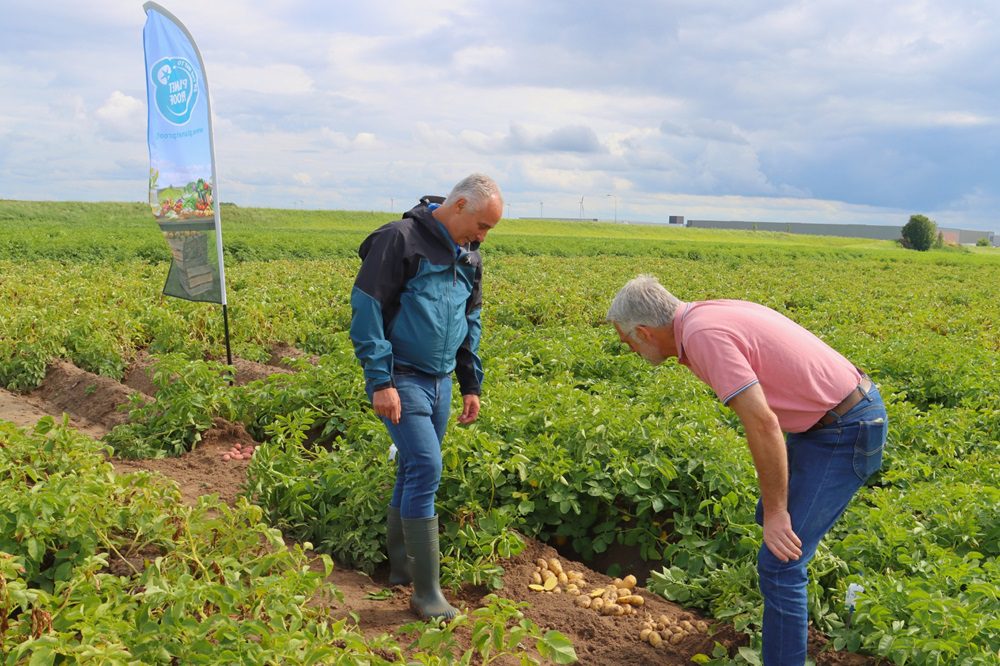 SMK roept met On the way to PlanetProof de aardappelketen op tot samenwerking