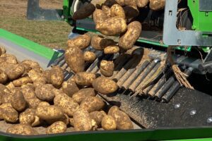 Telers ongerust na brief Farm Frites over hogere kortingen