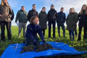 Afgelopen voorjaar deden 139 akkerbouwers en 5 proefbedrijven mee met een grootschalige pilot voor klaveronderzaai. Door de droogte en verkeerd herbicidengebruik zijn veel percelen mislukt. Toch blijft het animo onder akkerbouwers groot en wil 70 procent van de deelnemers het volgend jaar weer proberen. Ook in 2026 zal Urgenda daarom 75 procent korting geven op speciale klaveronderzaaimengsels.