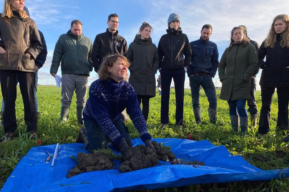 Afgelopen voorjaar deden 139 akkerbouwers en 5 proefbedrijven mee met een grootschalige pilot voor klaveronderzaai. Door de droogte en verkeerd herbicidengebruik zijn veel percelen mislukt. Toch blijft het animo onder akkerbouwers groot en wil 70 procent van de deelnemers het volgend jaar weer proberen. Ook in 2026 zal Urgenda daarom 75 procent korting geven op speciale klaveronderzaaimengsels.
