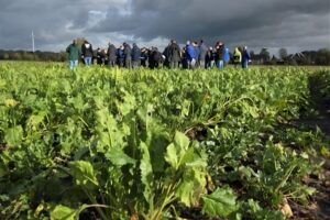 Druk bezochte bijeenkomsten op fungicidenproefvelden