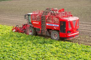 Suikerpercentage stabiel en grote verschillen in tarrapercentage