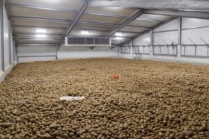 Stand van het gewas: In de bewaring, op het land en in de fabriek