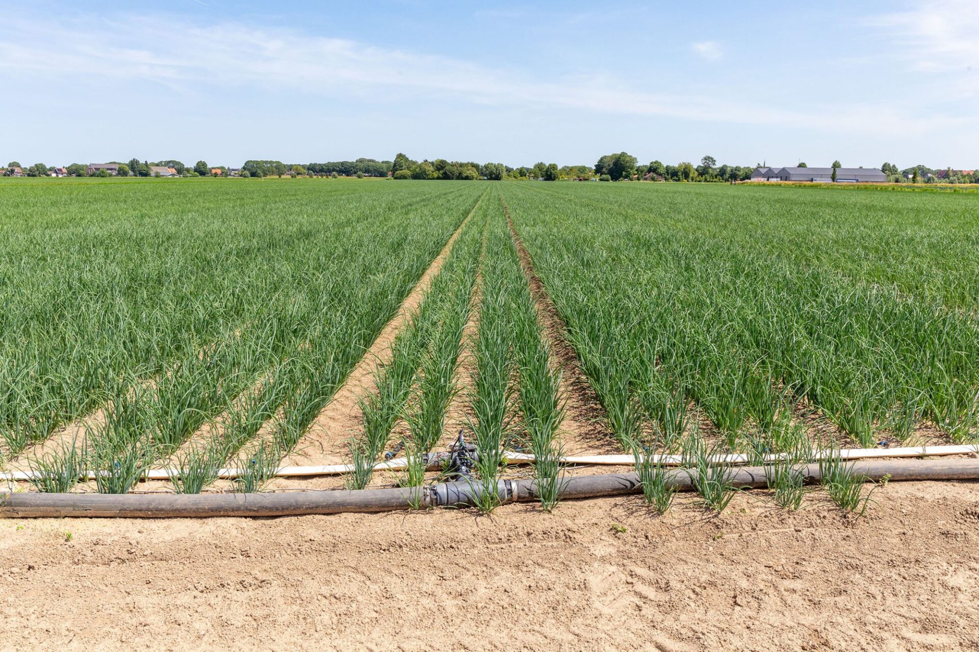 Fertigatiebeurs 2025: samen verder met kennis, innovatie en praktijkervaring