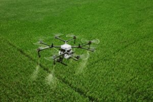 Nutriëntentekorten zichtbaar door hyperspectrale dronecamera
