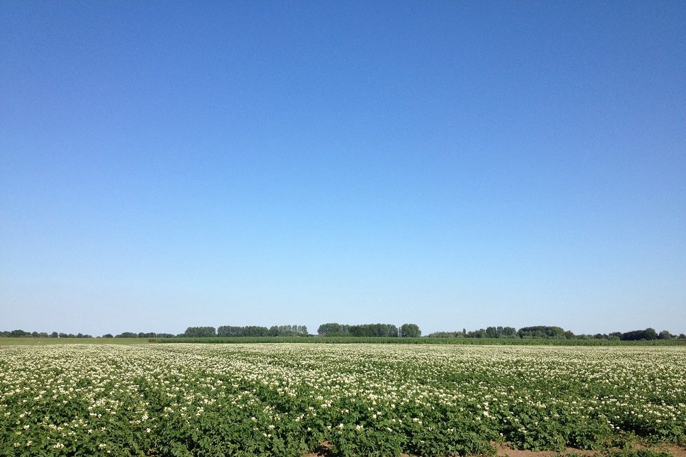 Goed bouwplan geeft akkerbouwers de regie over hun bodem