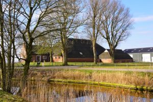 LTO-reactie rapport Wennink: Nú investeren, samen bouwen aan sterke sector
