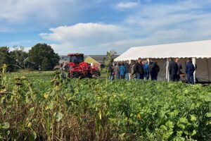 Van pleisters plakken naar geduld opbrengen