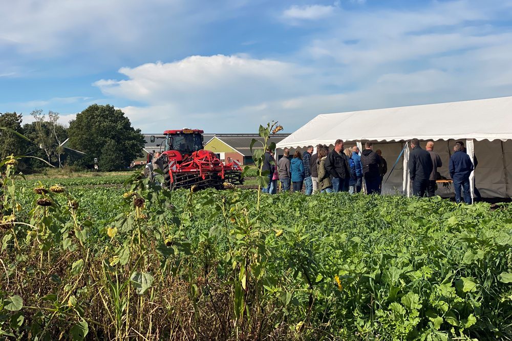 Van pleisters plakken naar geduld opbrengen