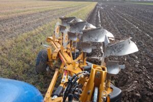 Ganzen vormen grootste obstakel bij minder ploegen