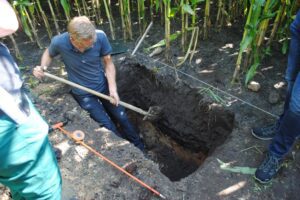 Tot 30 procent groeireductie bij geringe bodemverdichting