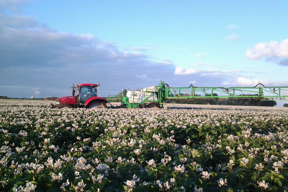 Insecticide Gazelle krijgt herregistratie