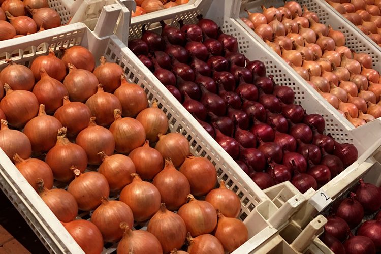 De Mooiste Bewaarui komt uit... 