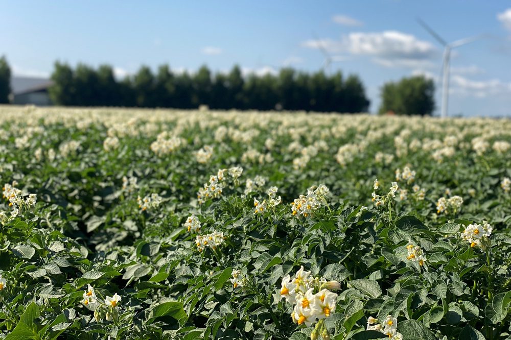 Waar zie ik mijn bedrijf over vijf tot tien jaar?