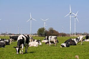 Agrofoodsector vraagt omslag naar ‘True Value’