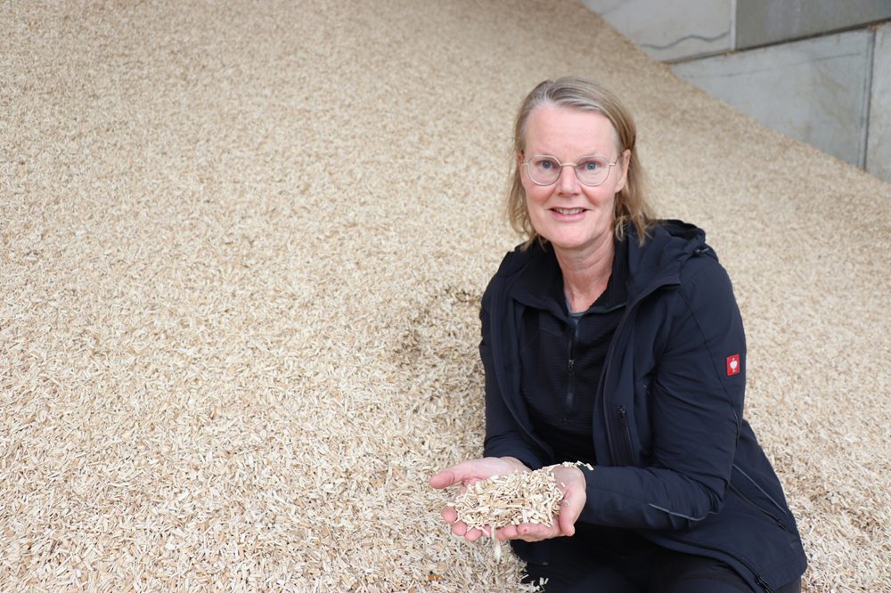 "Miscanthus is een robuust gewas met toekomst"